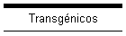 Transgnicos